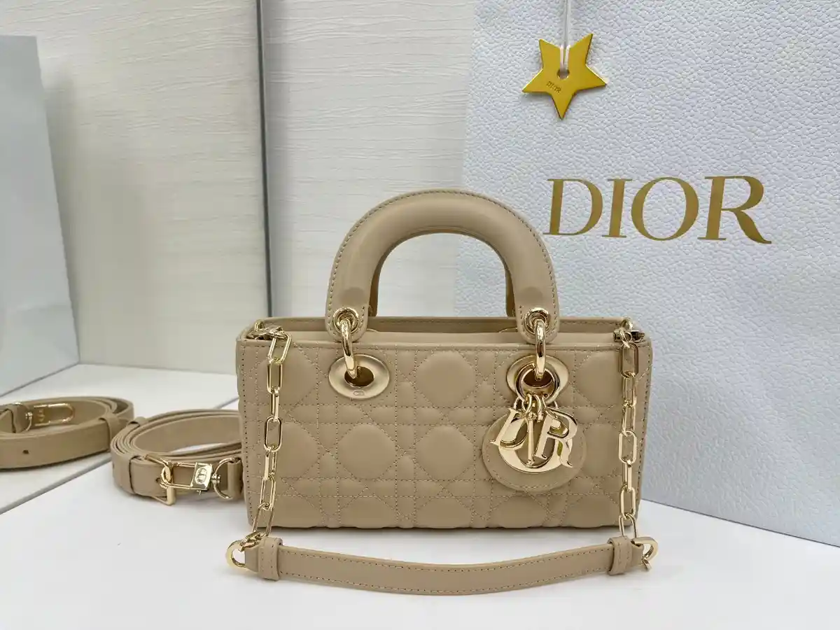 DIOR 디올 레이디 디조이백 까나쥬 램스킨 이미지 5