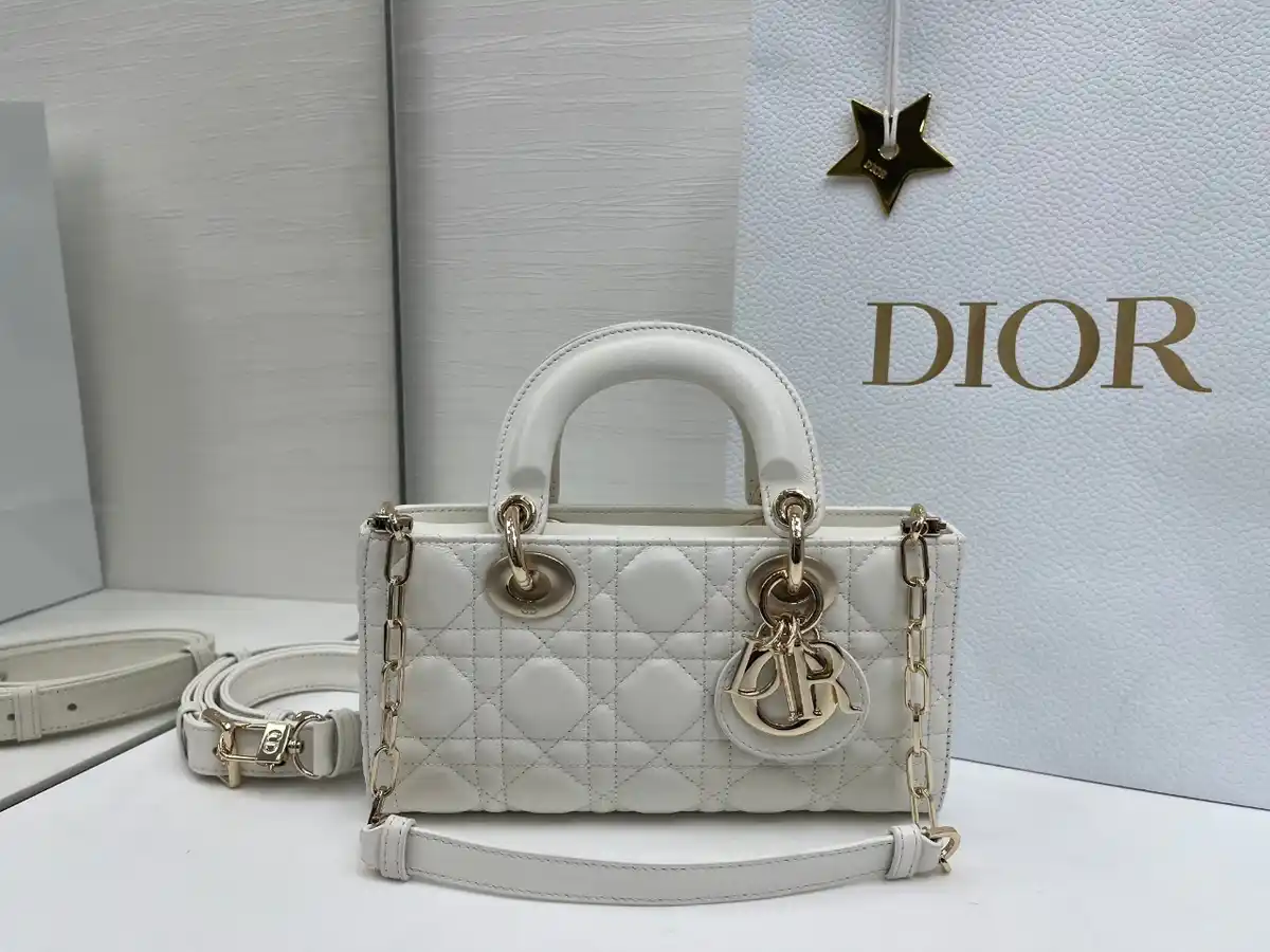 DIOR 디올 레이디 디조이백 까나쥬 램스킨 이미지 4