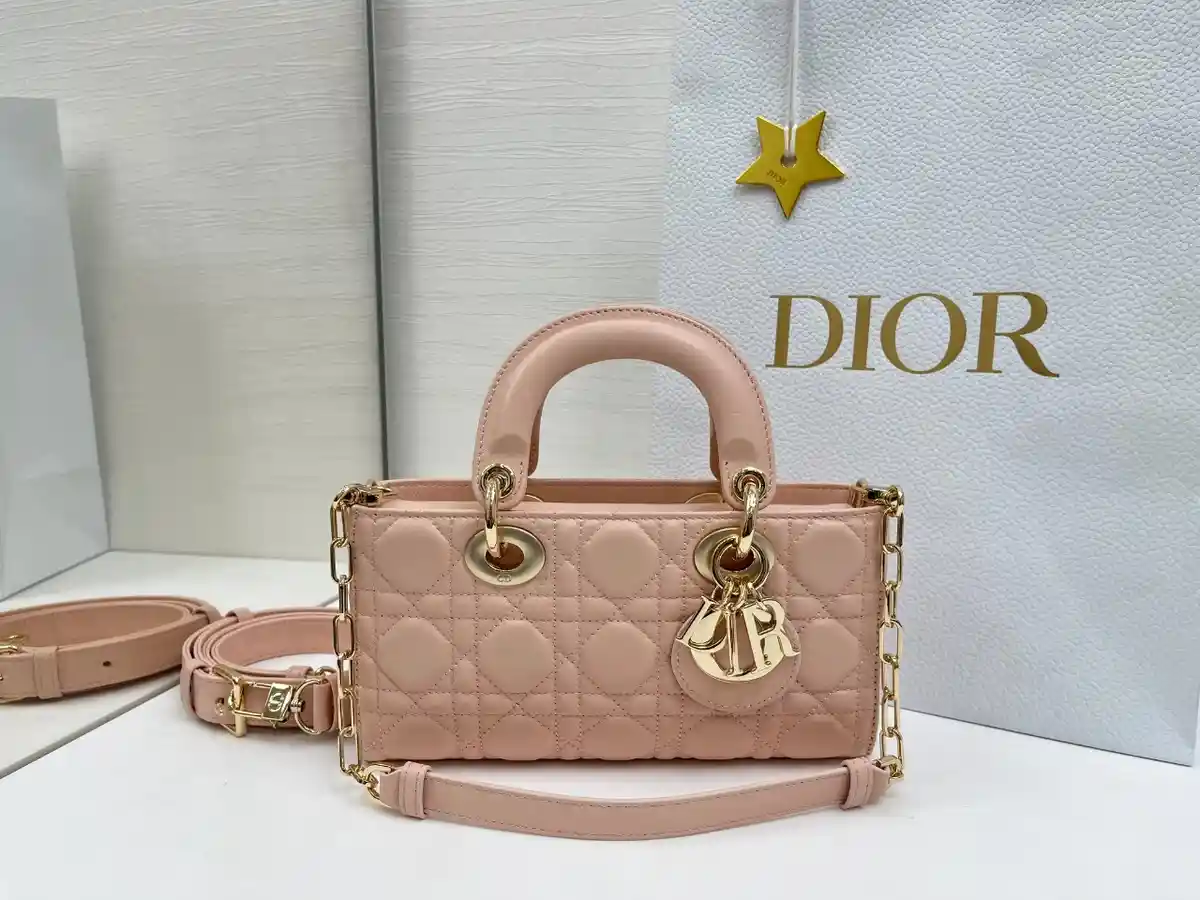 DIOR 디올 레이디 디조이백 까나쥬 램스킨 이미지 6
